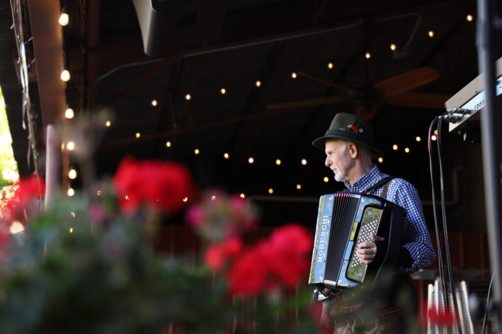 View of Accordion Player Behind Red Flowers
